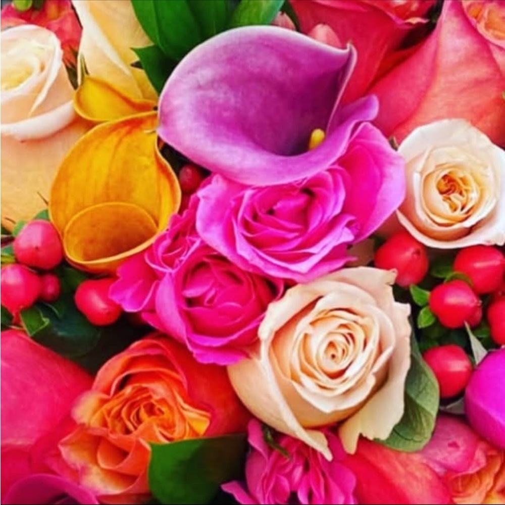 Meet your Posher, Luxe